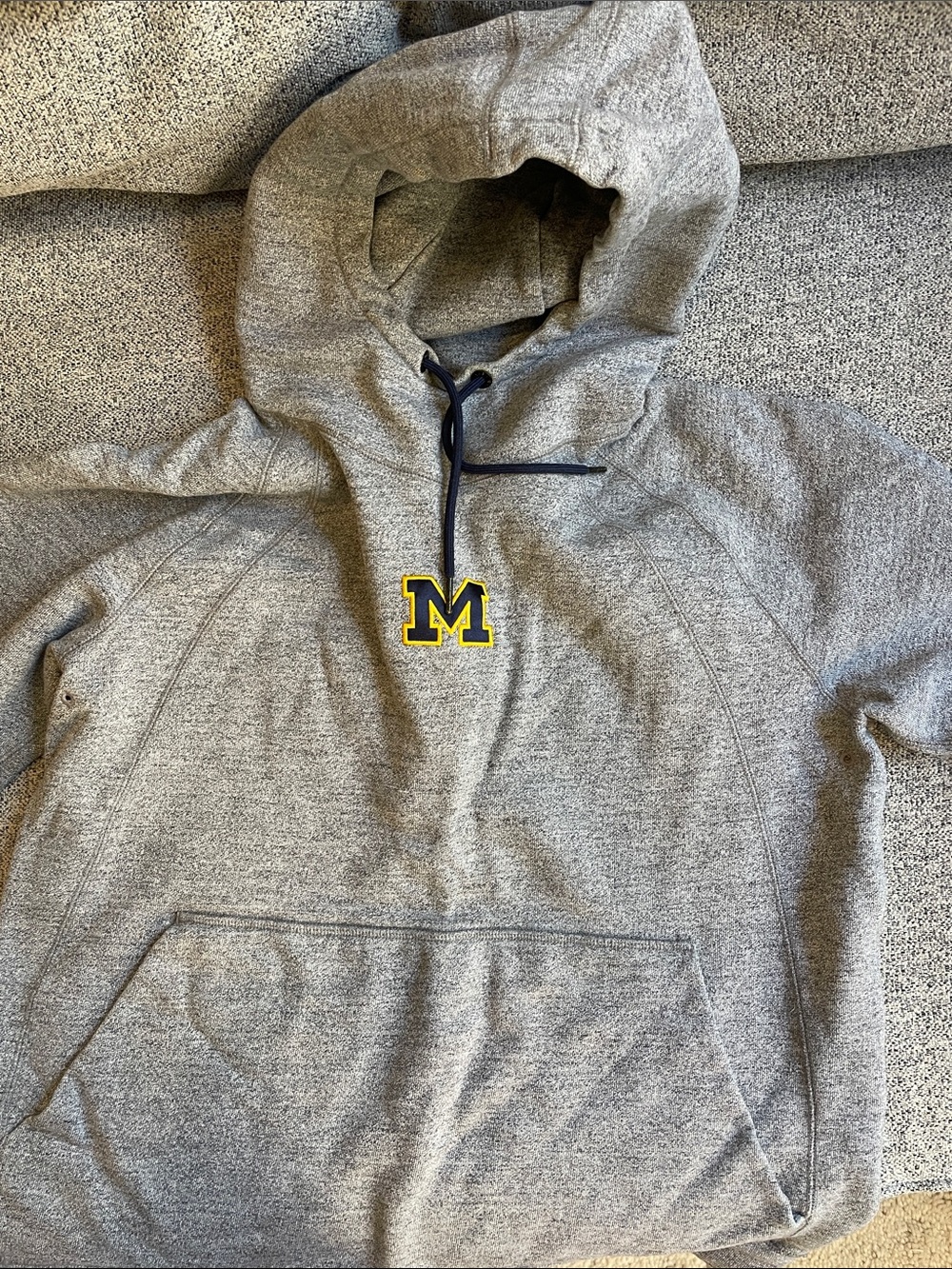 Michigan Logo Gray Hooded Sweatshirt - Men's Pullover (Air Jordan line)